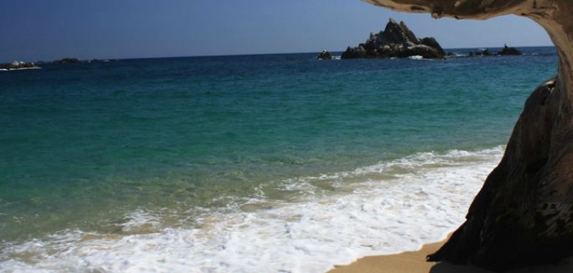 Belezas marinhas 